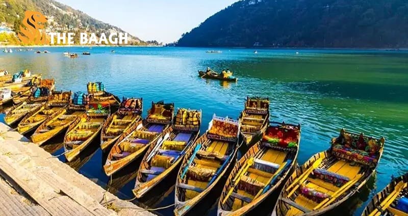 Nainital Auli Tour Package